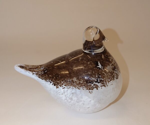Glas fugl, Rype, Haparanda